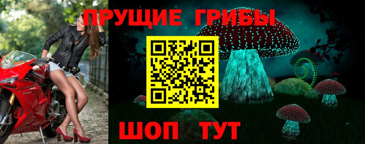 Галлюциногенные грибы Psilocybine cubensis  Вход с VPN  Трёхгорный 