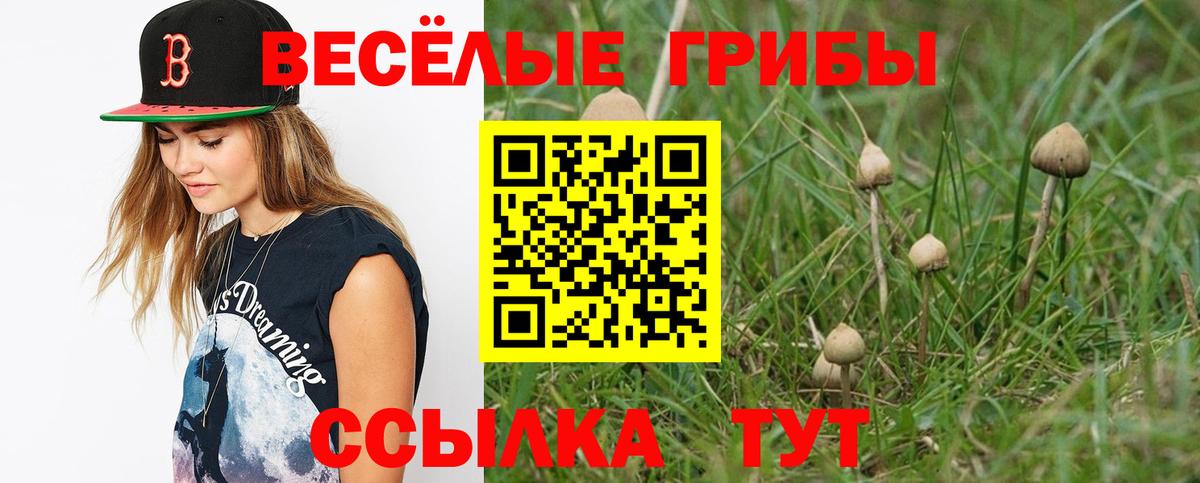 Псилоцибиновые грибы мухоморы Трёхгорный